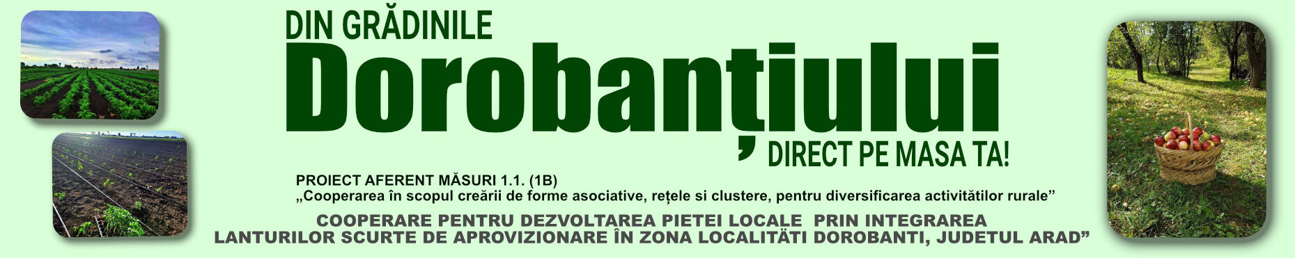 Din gradinile Dorobanțiului